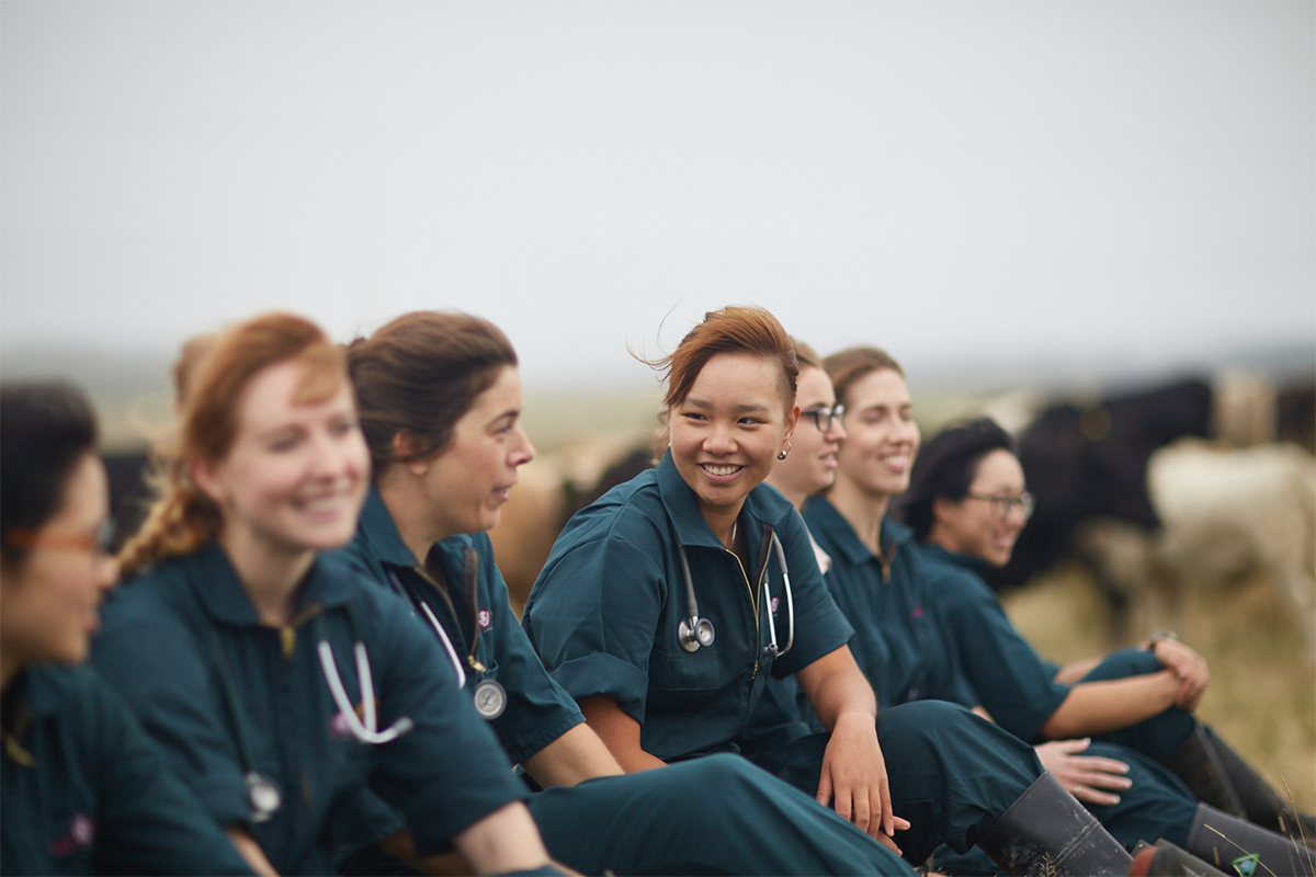 School of Veterinary Science - Massey University